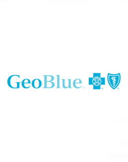 Geo Blue Logo